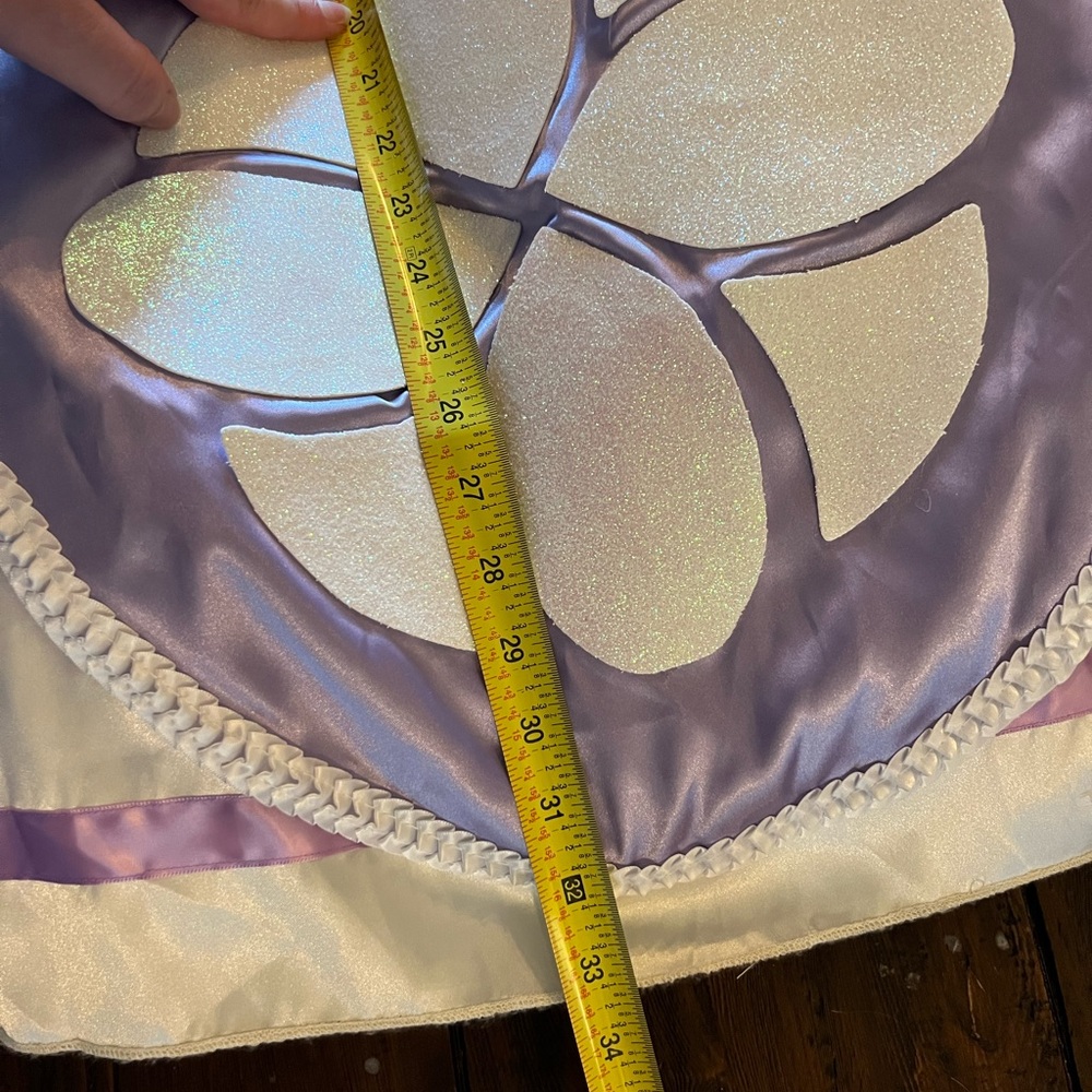 CUSTOM MADE 💜 Disney Princess Sofia costume & accessories - Picture 6 of 6